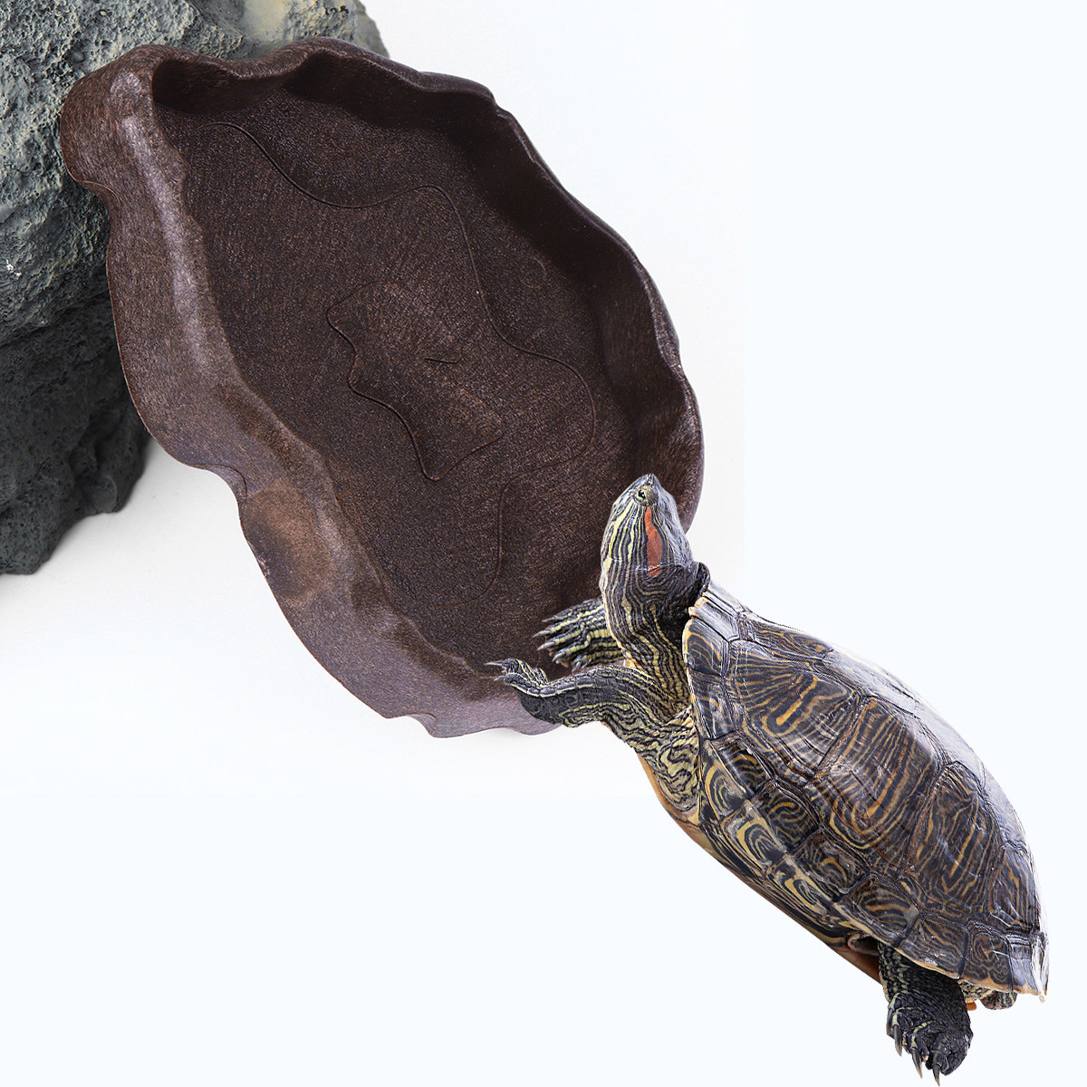 Reptile Resin Food Dish Coffee - Water Dish Reptile 评论和价格