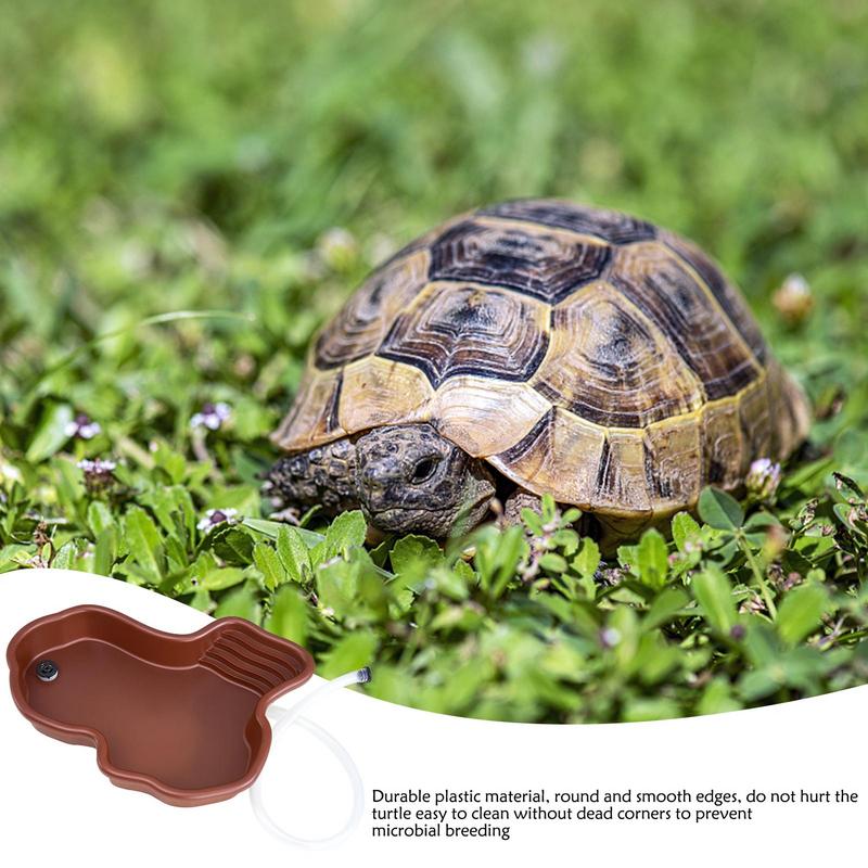 Turtle Feeding Dish Reptile Ba - Water Dish Reptile 评论和价格