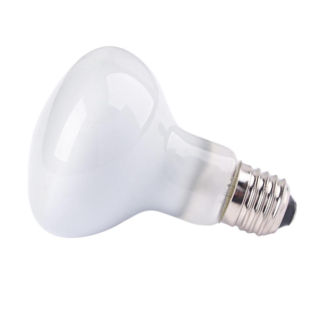 Amphibians Temperature Control - Basking Bulb Halogen 评论和价格