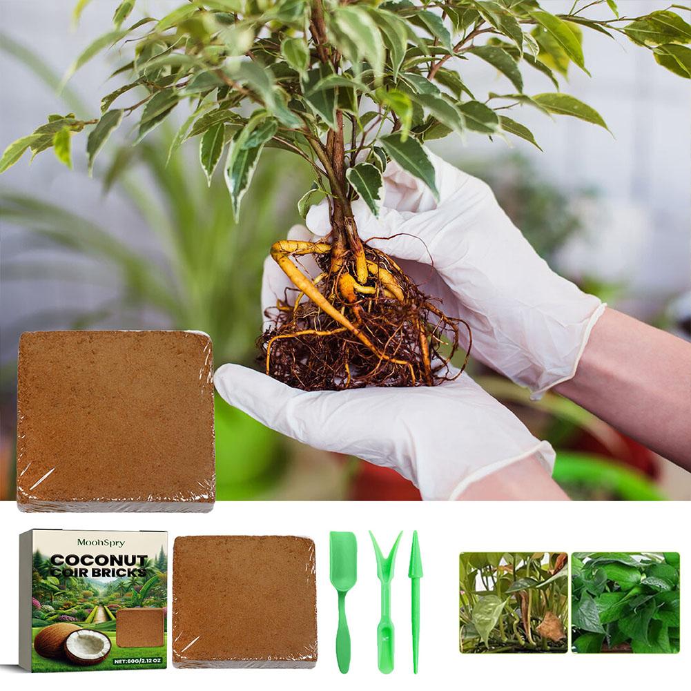 Coconut Coir Fiber Brick - Org - Substrate Coconut Fiber 评论和价格