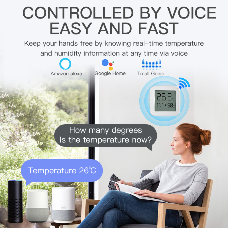 Bluetooth Temperature Humidity - Digital Hygrometer Probe 评论和价格