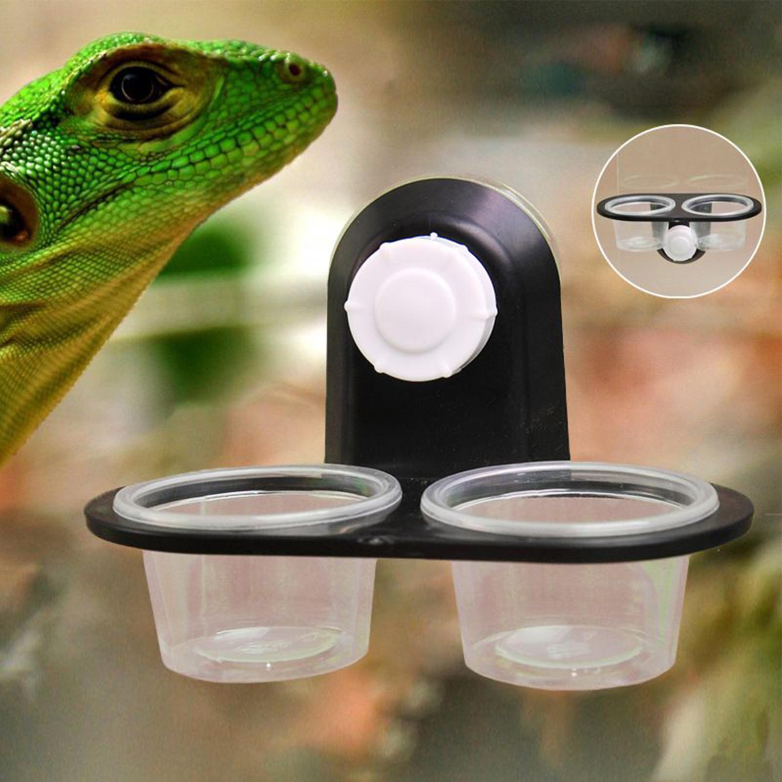 Gecko Food Dish Gecko Water Di - Water Dish Reptile 评论和价格