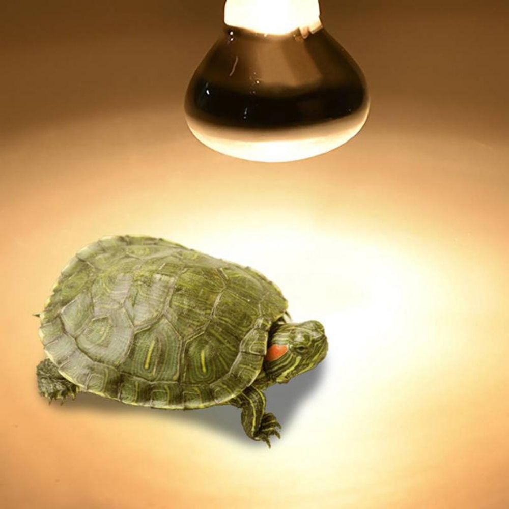 Amphibians Heat Lamp Heater Ha - Basking Bulb Halogen 评论和价格