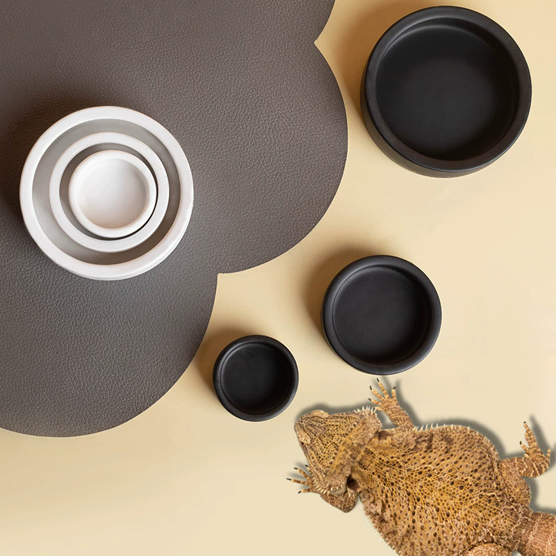 HOT! Reptile Food Bowl Anti-Es - Water Dish Reptile 评论和价格