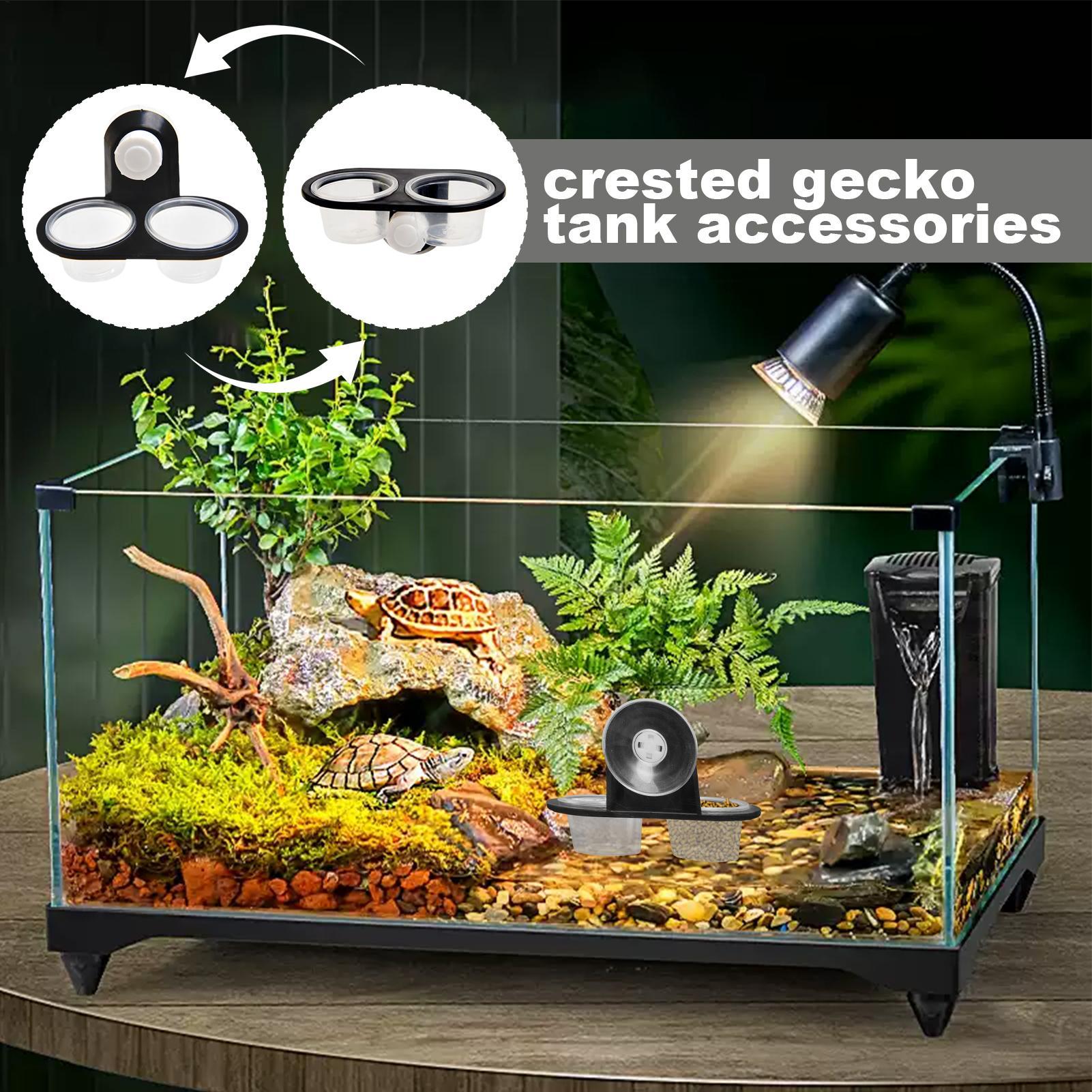 Gecko Feeder Ledge with Detach - Water Dish Reptile 评论和价格