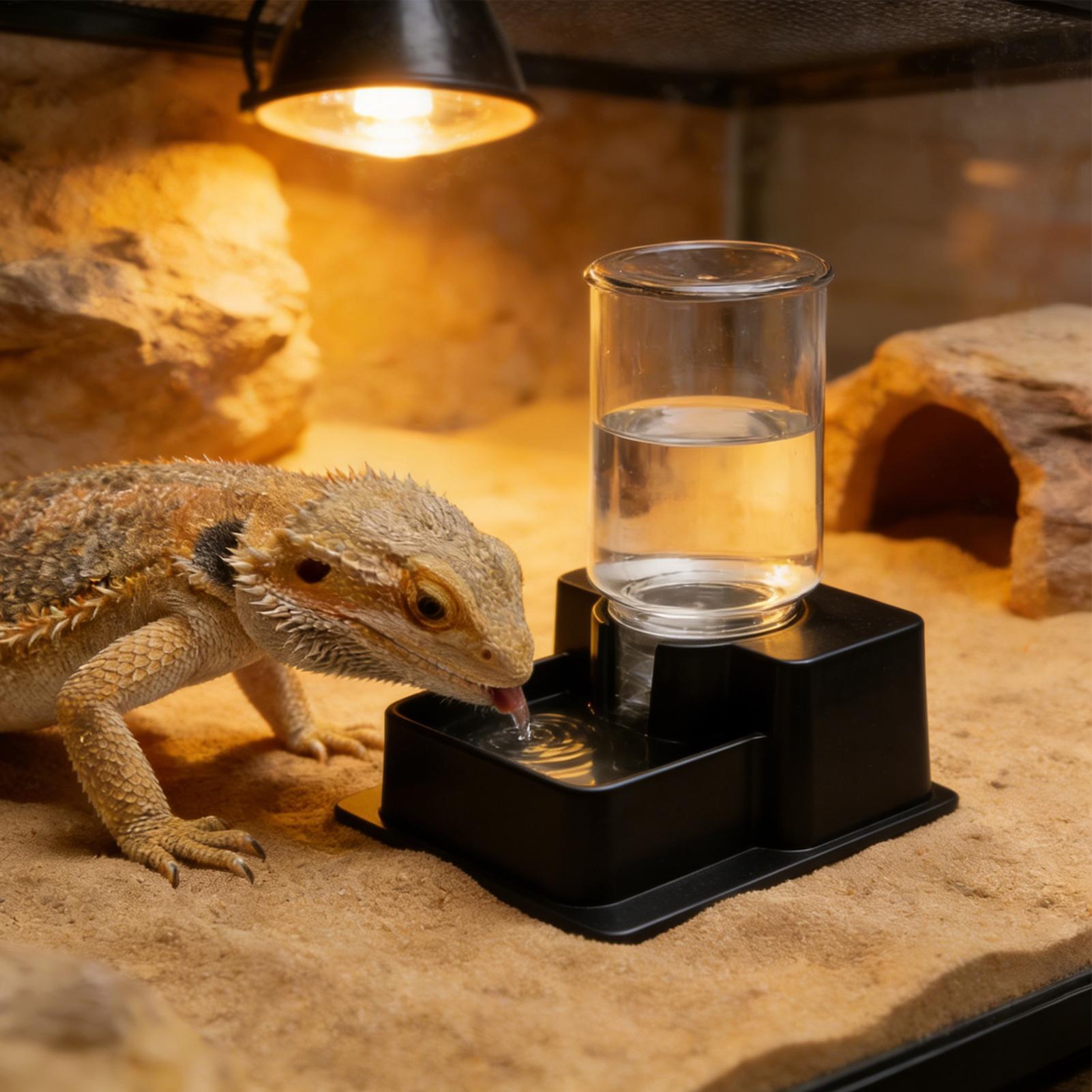 Bearded Dragon Water Fountain  - Water Dish Reptile 评论和价格