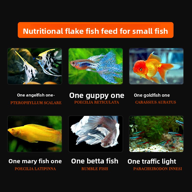 DaJiaWa Spirulina Flake Fish F - Tetra Food Betta Flakes 评论和价格
