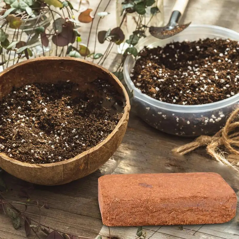 Reptile Coconut Soil Natural C - Substrate Coconut Fiber 评论和价格