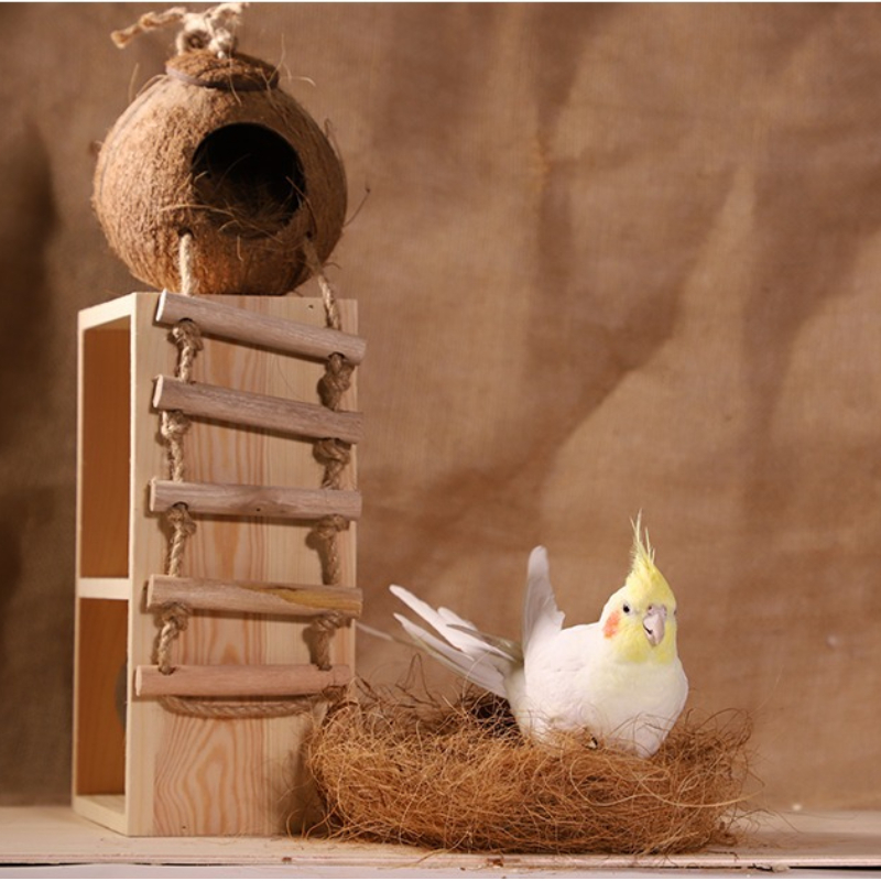 100g Finch Coconut Fiber Loose - Substrate Coconut Fiber 评论和价格